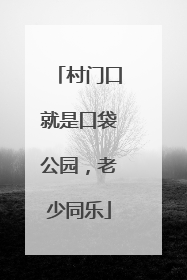 村门口就是口袋公园，老少同乐