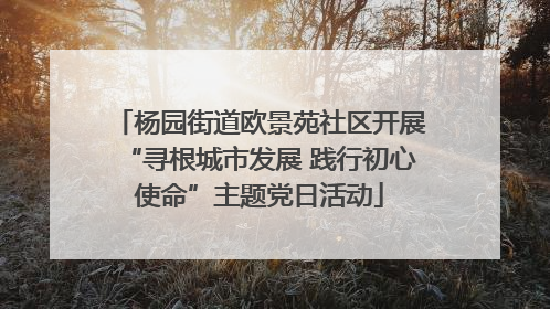 杨园街道欧景苑社区开展“寻根城市发展 践行初心使命”主题党日活动