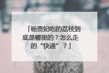 杨贵妃吃的荔枝到底是哪里的？怎么走的“快递”？