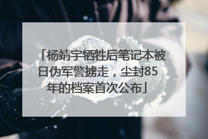 杨靖宇牺牲后笔记本被日伪军警掳走，尘封85年的档案首次公布