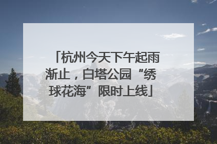 杭州今天下午起雨渐止，白塔公园“绣球花海”限时上线