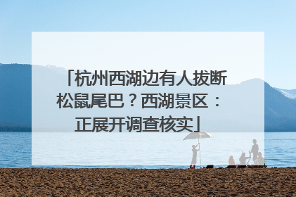杭州西湖边有人拔断松鼠尾巴？西湖景区：正展开调查核实