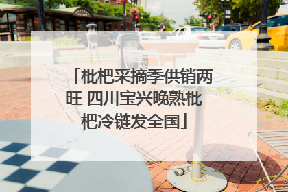 枇杷采摘季供销两旺 四川宝兴晚熟枇杷冷链发全国
