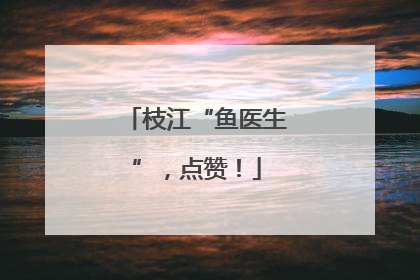 枝江“鱼医生”，点赞！