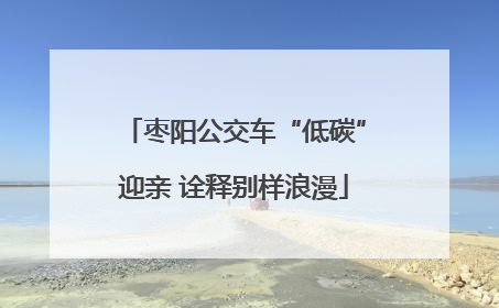 枣阳公交车“低碳”迎亲 诠释别样浪漫