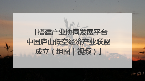 搭建产业协同发展平台 中国庐山低空经济产业联盟成立（组图｜视频）