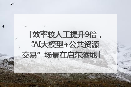 效率较人工提升9倍，“AI大模型+公共资源交易”场景在启东落地