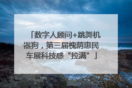 数字人顾问+跳舞机器狗，第三届槐荫惠民车展科技感“拉满”