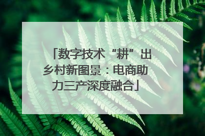 数字技术“耕”出乡村新图景：电商助力三产深度融合