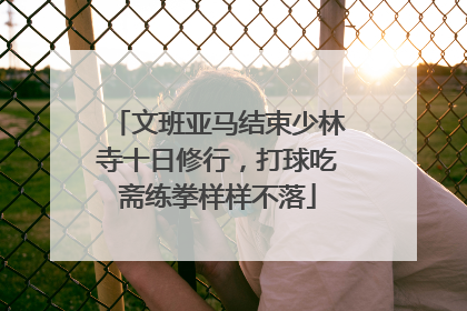文班亚马结束少林寺十日修行，打球吃斋练拳样样不落