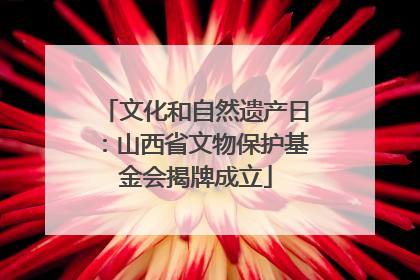 文化和自然遗产日：山西省文物保护基金会揭牌成立