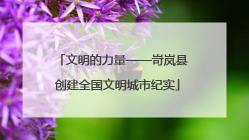文明的力量——岢岚县创建全国文明城市纪实