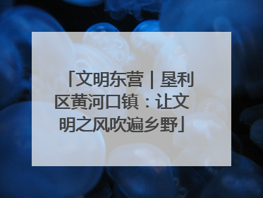 文明东营｜垦利区黄河口镇：让文明之风吹遍乡野