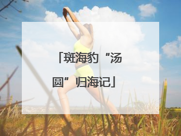 斑海豹“汤圆”归海记