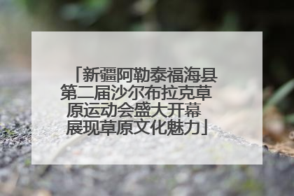 新疆阿勒泰福海县第二届沙尔布拉克草原运动会盛大开幕 展现草原文化魅力