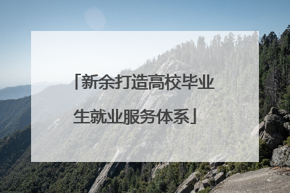 新余打造高校毕业生就业服务体系