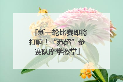 新一轮比赛即将打响！“苏超”参赛队摩拳擦掌