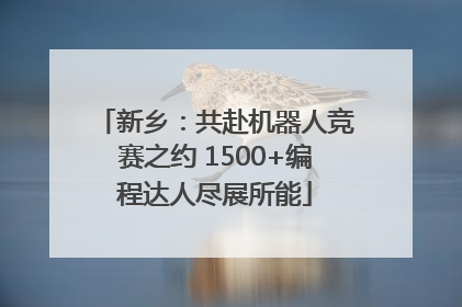 新乡：共赴机器人竞赛之约 1500+编程达人尽展所能