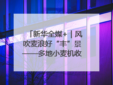 新华全媒+｜风吹麦浪好“丰”景——多地小麦机收一线见闻