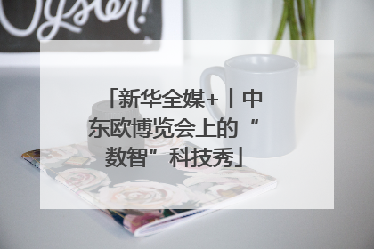 新华全媒+丨中东欧博览会上的“数智”科技秀