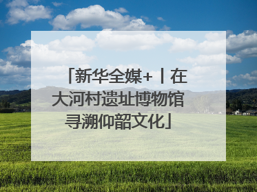 新华全媒+丨在大河村遗址博物馆寻溯仰韶文化