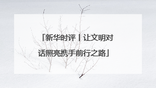 新华时评丨让文明对话照亮携手前行之路