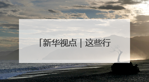 新华视点｜这些行业正在“爆单”！中国经济活力密码