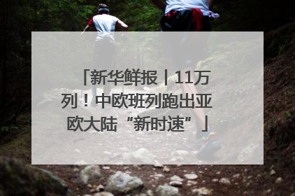 新华鲜报丨11万列！中欧班列跑出亚欧大陆“新时速”