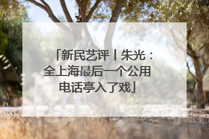 新民艺评丨朱光：全上海最后一个公用电话亭入了戏