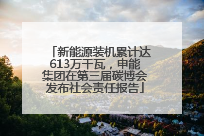 新能源装机累计达613万千瓦，申能集团在第三届碳博会发布社会责任报告