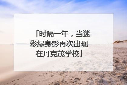 时隔一年，当迷彩绿身影再次出现在丹克茂学校