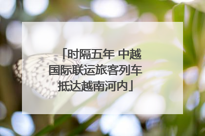 时隔五年 中越国际联运旅客列车抵达越南河内
