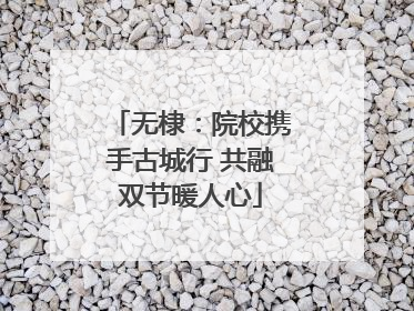 无棣：院校携手古城行 共融双节暖人心