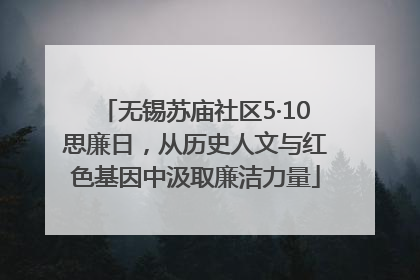 无锡苏庙社区5·10思廉日，从历史人文与红色基因中汲取廉洁力量
