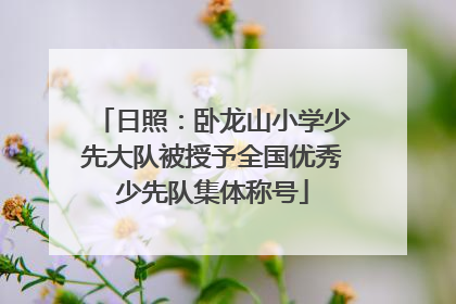 日照：卧龙山小学少先大队被授予全国优秀少先队集体称号