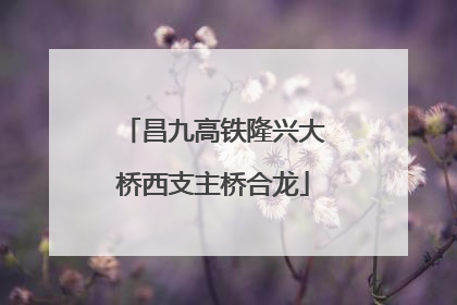 昌九高铁隆兴大桥西支主桥合龙