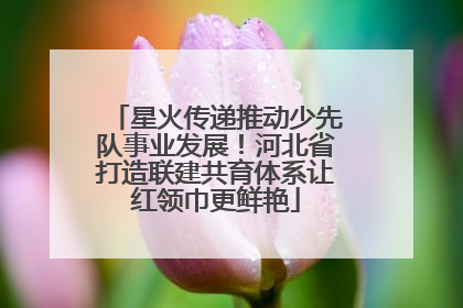 星火传递推动少先队事业发展！河北省打造联建共育体系让红领巾更鲜艳