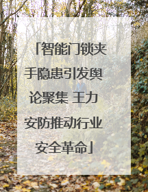 智能门锁夹手隐患引发舆论聚集 王力安防推动行业安全革命