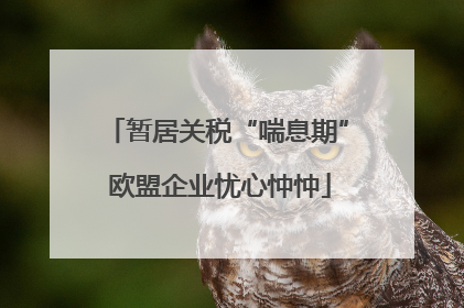 暂居关税“喘息期” 欧盟企业忧心忡忡