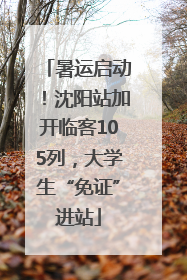 暑运启动！沈阳站加开临客105列，大学生“免证”进站