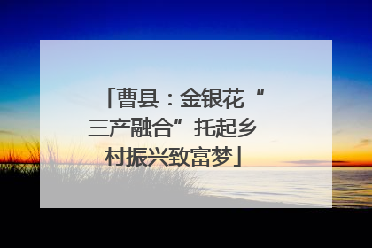曹县：金银花“三产融合”托起乡村振兴致富梦