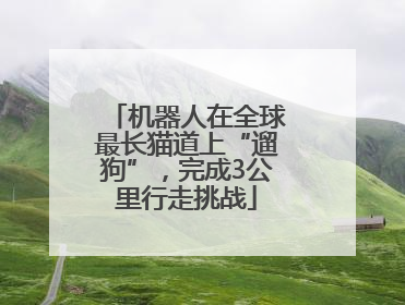 机器人在全球最长猫道上“遛狗”，完成3公里行走挑战