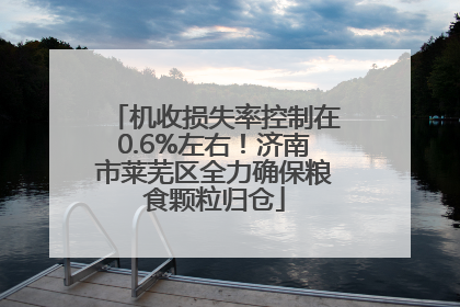 机收损失率控制在0.6%左右！济南市莱芜区全力确保粮食颗粒归仓