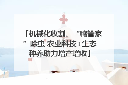 机械化收割、“鸭管家”除虫 农业科技+生态种养助力增产增收
