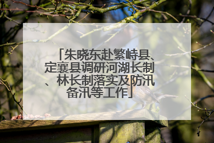 朱晓东赴繁峙县、定襄县调研河湖长制、林长制落实及防汛备汛等工作