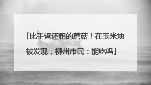 比手臂还粗的蘑菇！在玉米地被发现，柳州市民：能吃吗