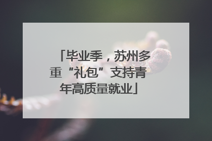 毕业季，苏州多重“礼包”支持青年高质量就业