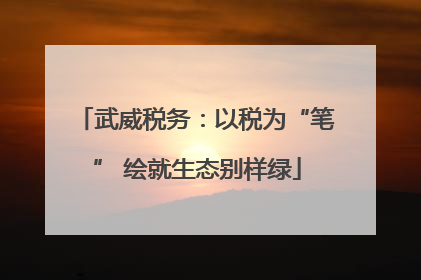 武威税务：以税为“笔” 绘就生态别样绿