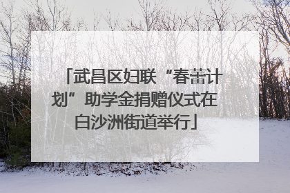 武昌区妇联“春蕾计划”助学金捐赠仪式在白沙洲街道举行