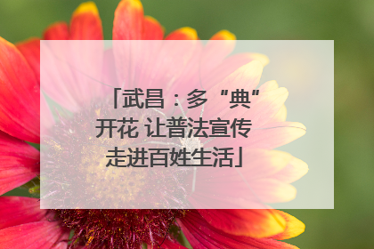 武昌：多“典”开花 让普法宣传走进百姓生活